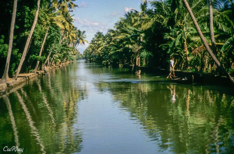 Kerala's Backwaters
