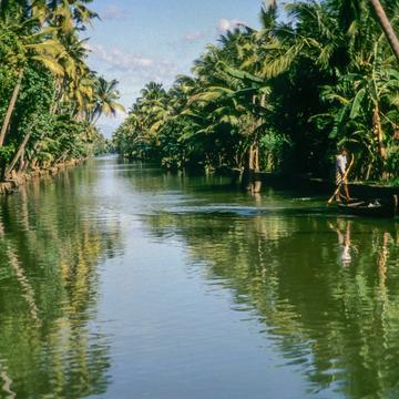 Kerala's Backwaters, India