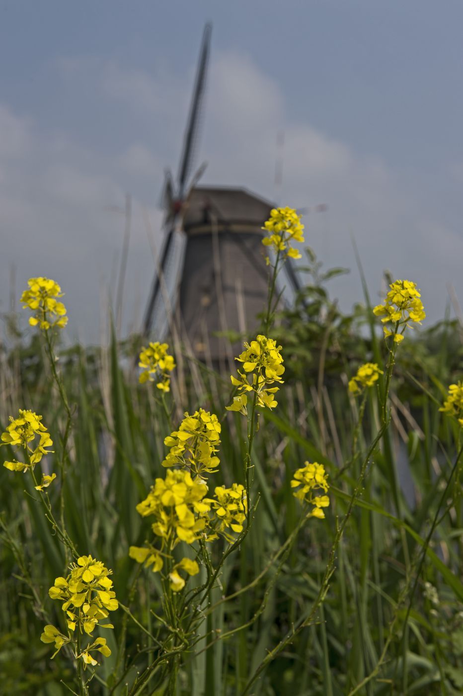 Kinderdijk, Netherlands