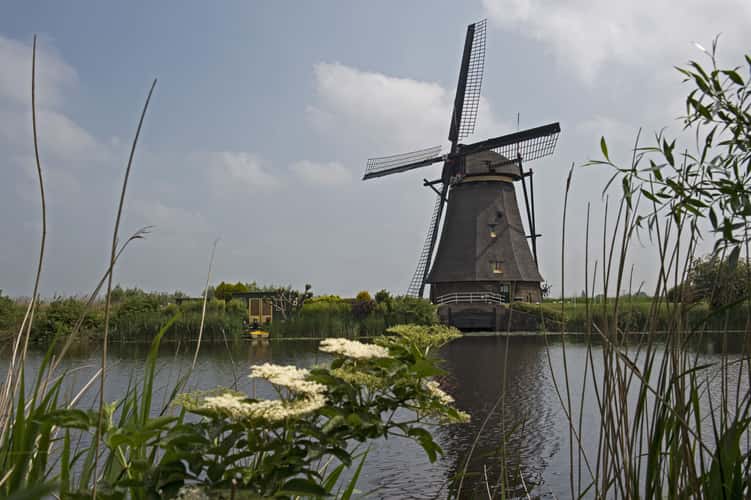 Kinderdijk