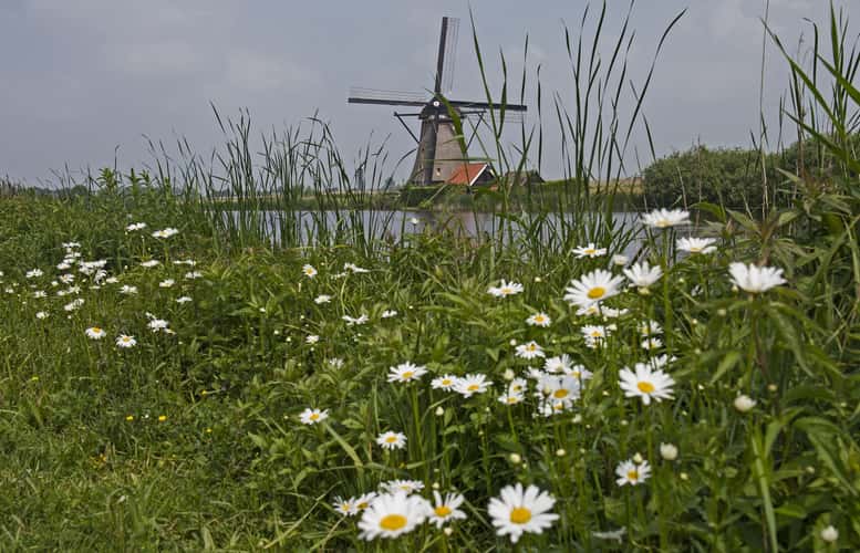 Kinderdijk