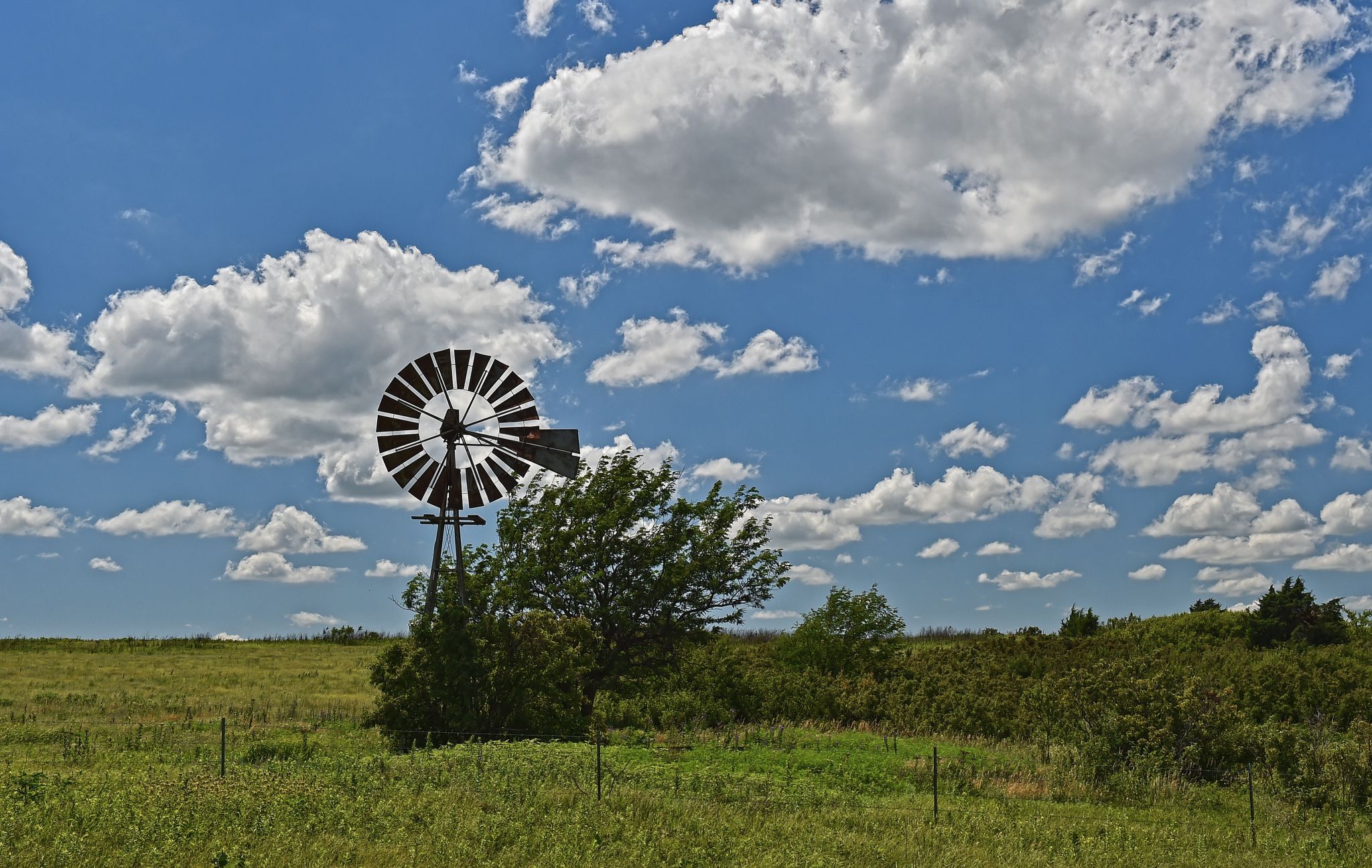 Konza Prairie, Flint Hills, USA