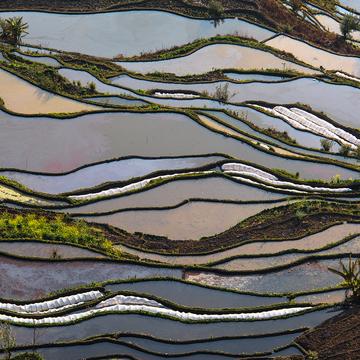 Laohuzi Terraced Rice Fields, China