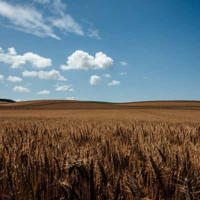 Le Cap Blanc Nez, France