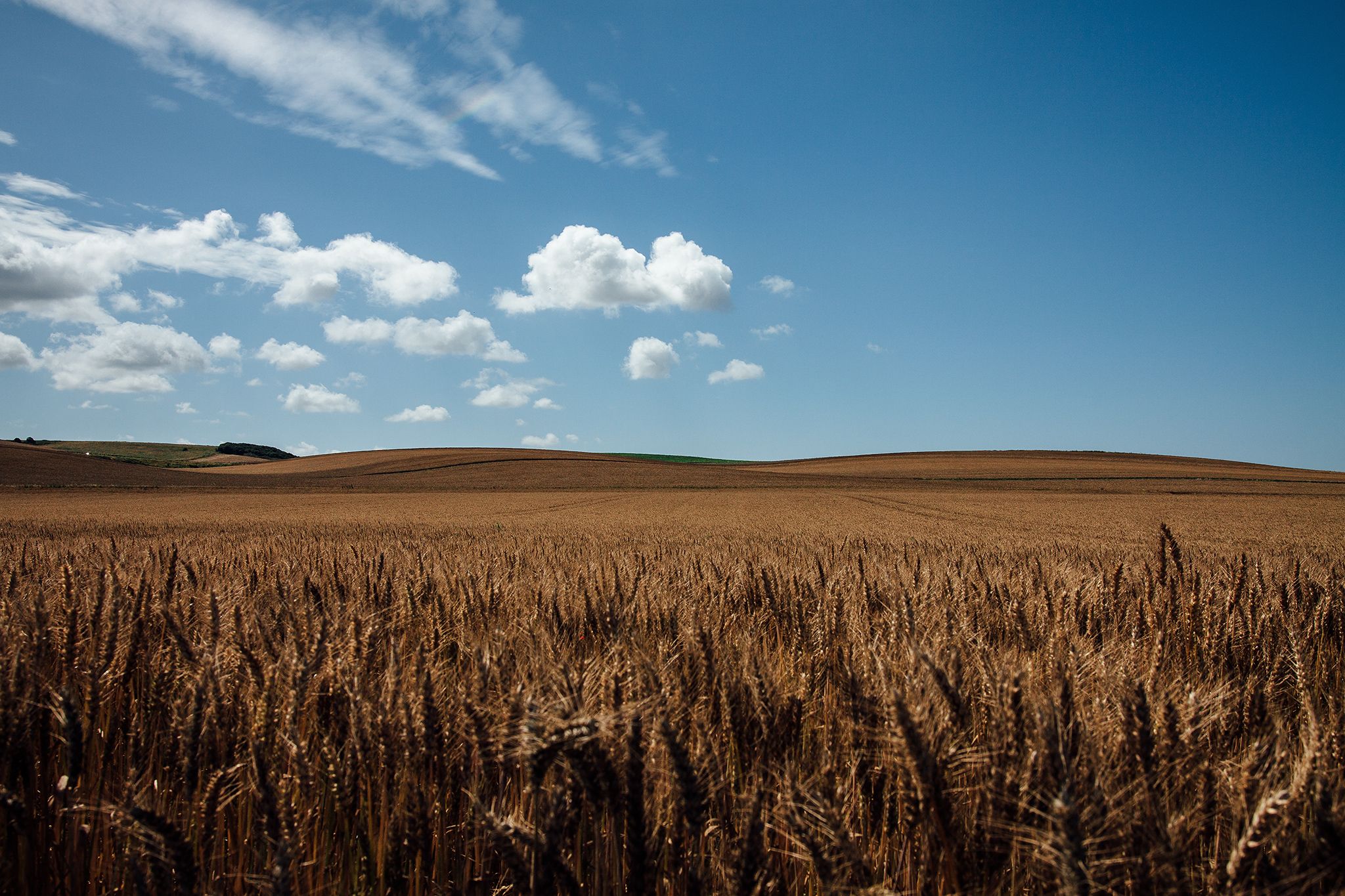 Le Cap Blanc Nez, France