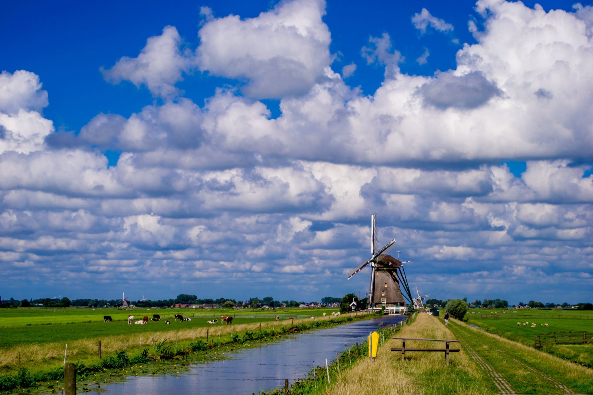Molenviergang (Aarlanderveen), Netherlands