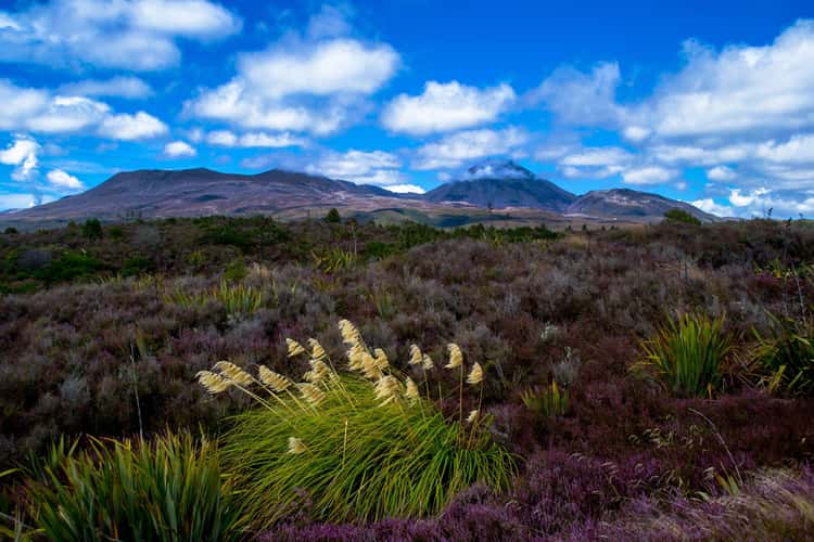 Mount Ruapehu