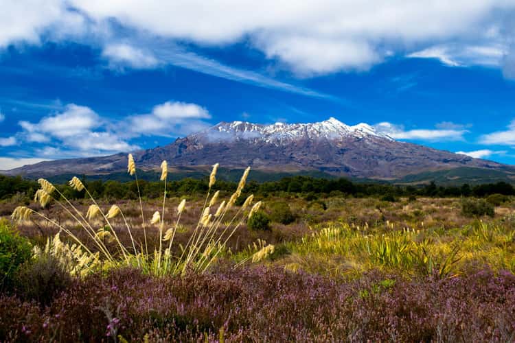 Mount Ruapehu