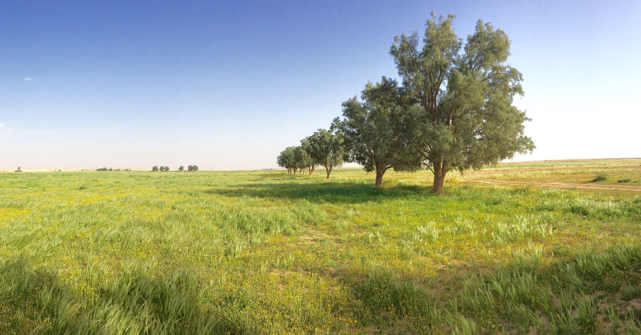 Near Rafha, Saudi Arabia