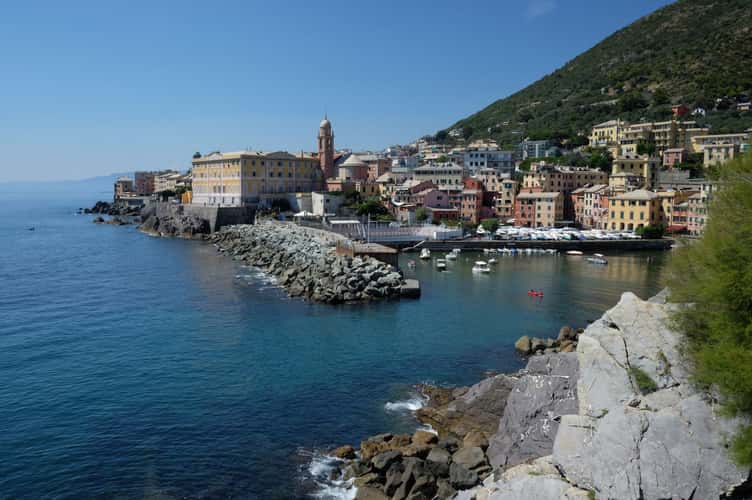 Nervi