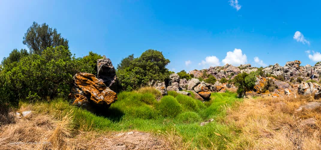 Nuraghe Corongiu Murvonis
