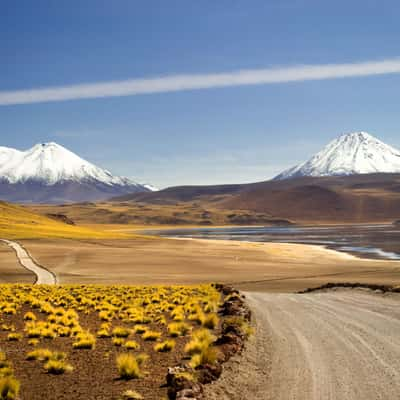 On the way to laguna miscanti, Chile