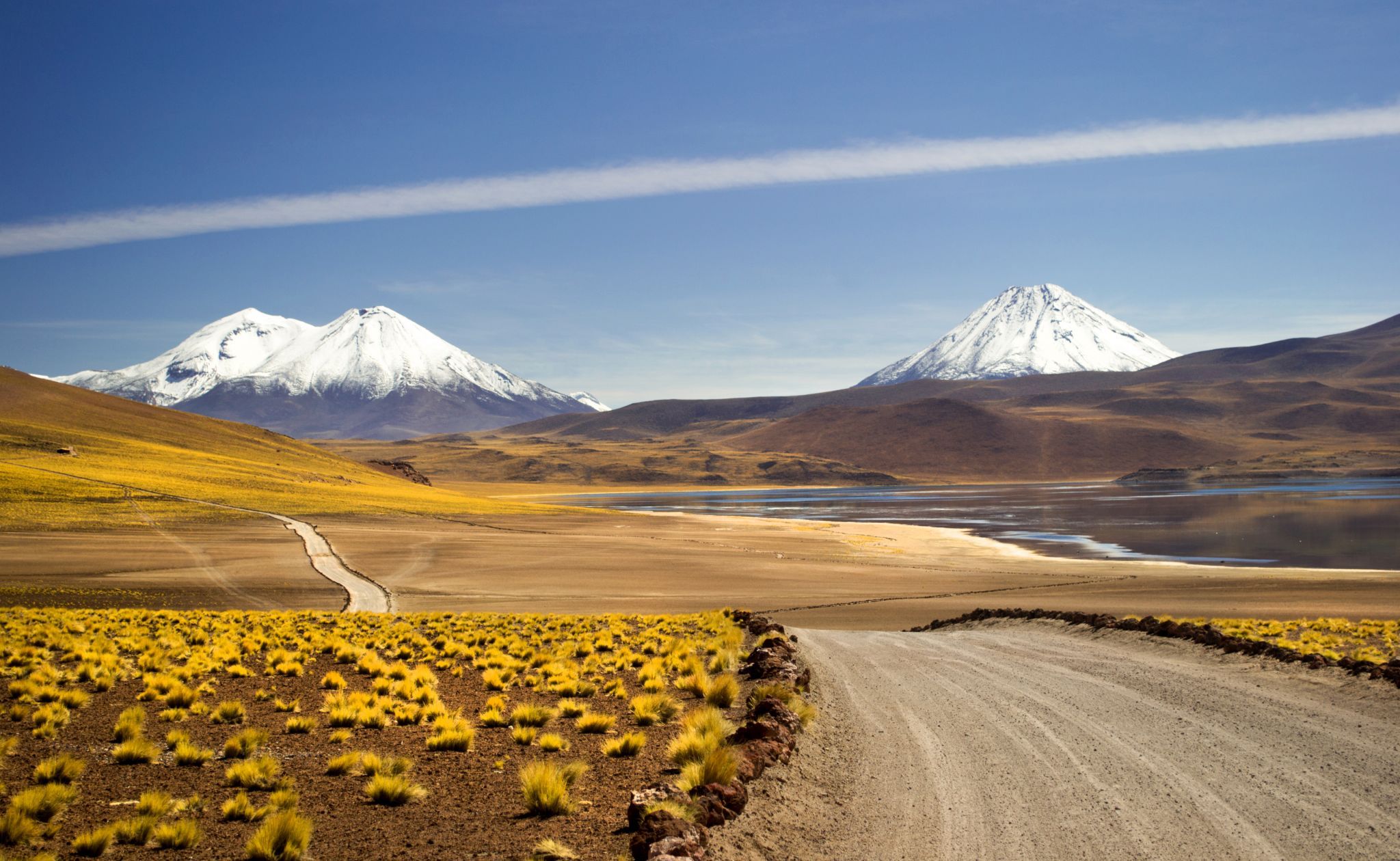 On the way to laguna miscanti, Chile