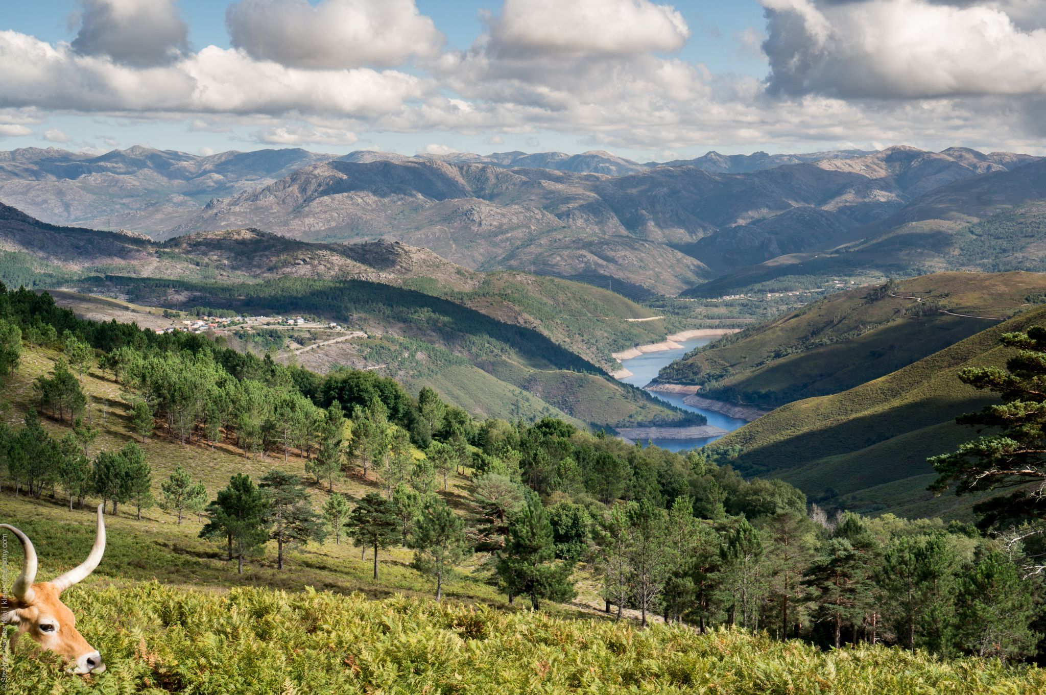 Peneda Geres National Park, Portugal