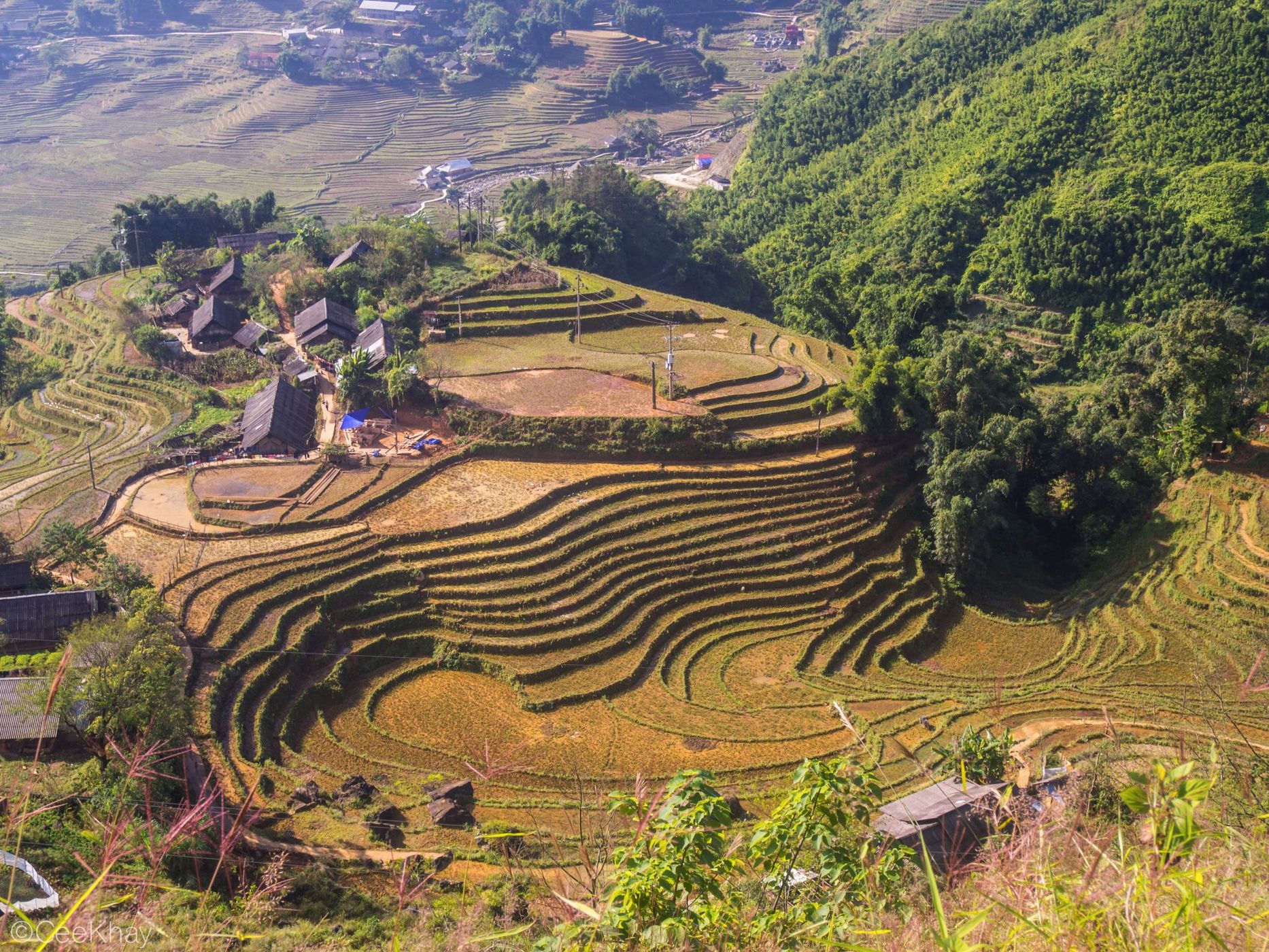 Rice terraces, Vietnam