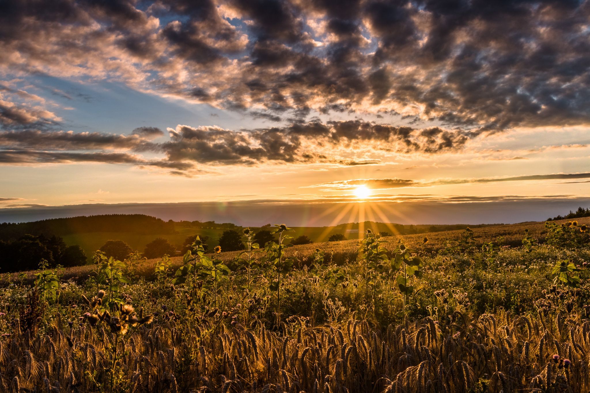 Sunset in Othmaringhausen, Germany