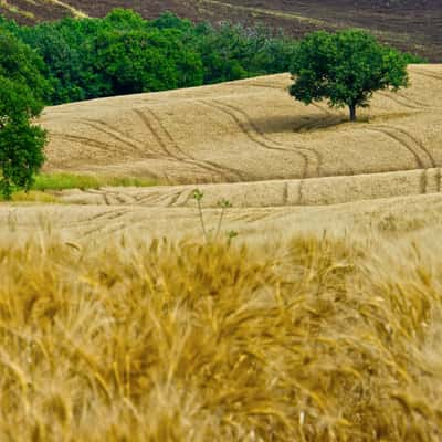 Val d' Orica area of Tuscany, Italy