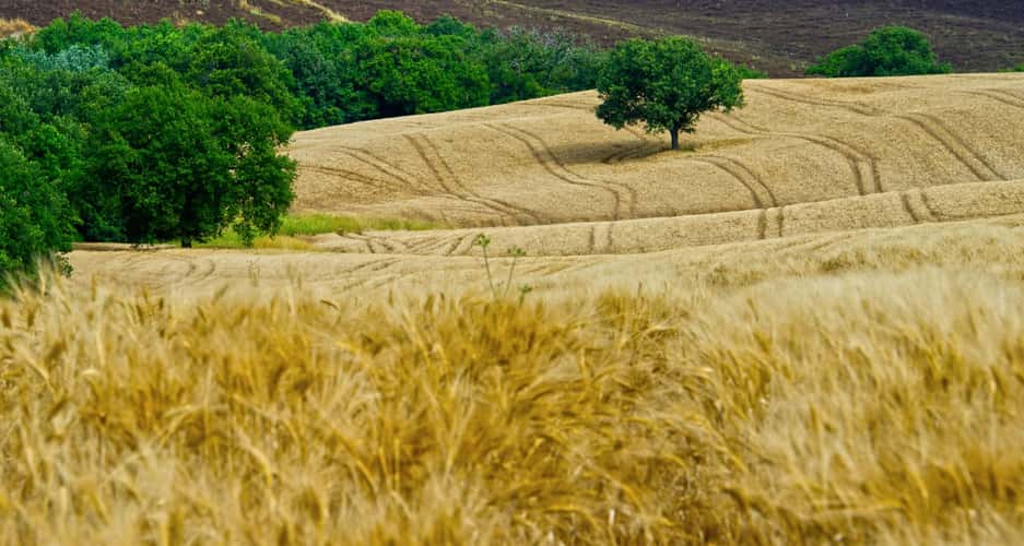 Val d' Orica area of Tuscany