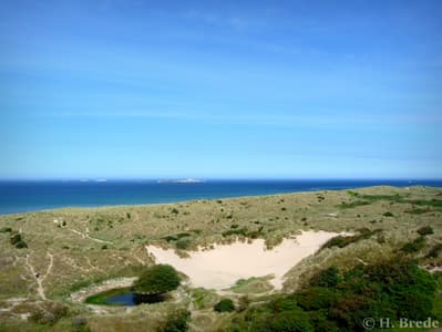 View from Bamburgh Castle