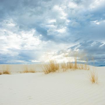 White Sands New Mexico, USA