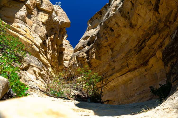 Writing On Stone Provincial Park