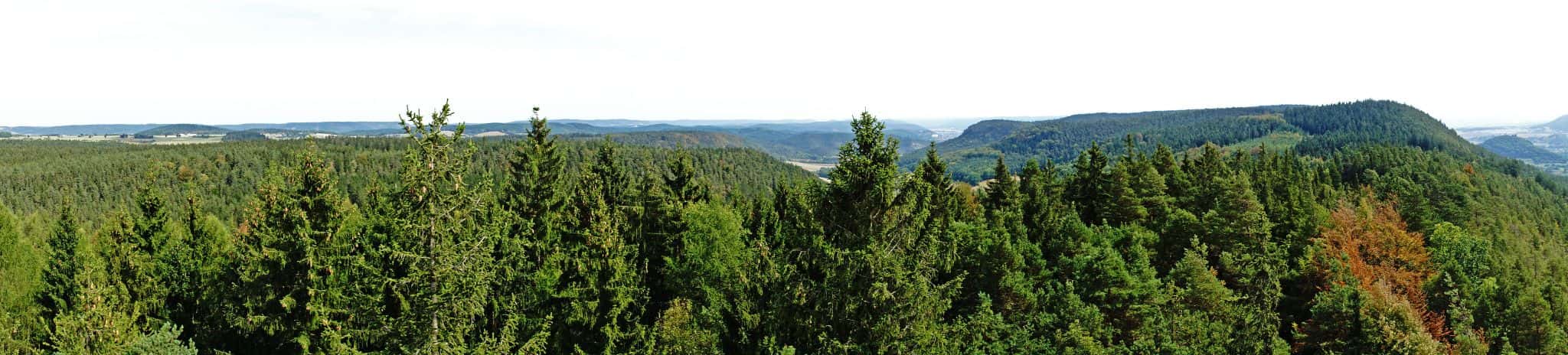 Baropturm