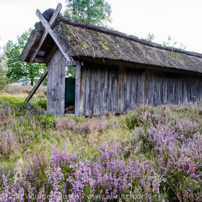 Bienenhaus in der Lüneburger Heide, Germany