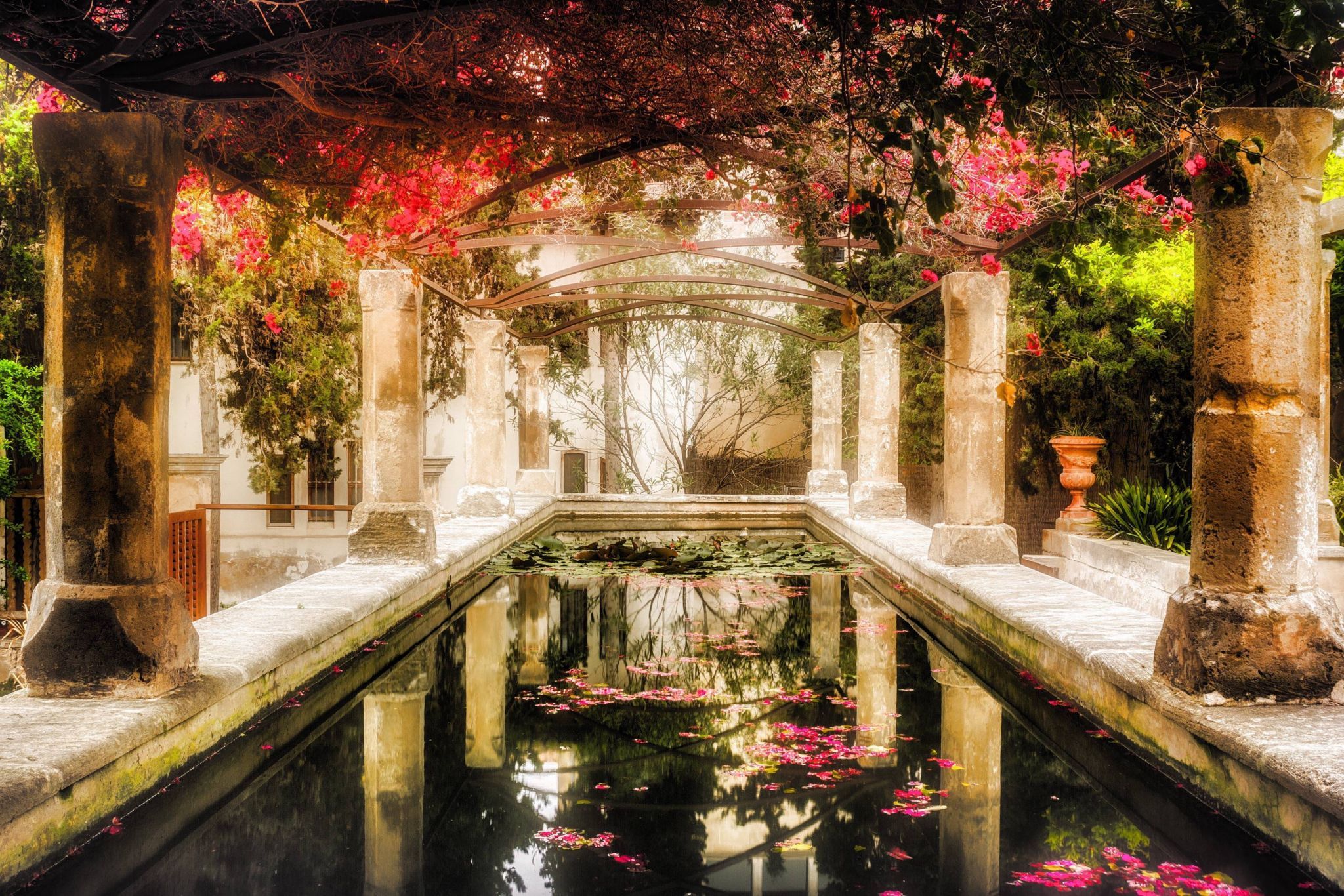 Bishop Park, Spain
