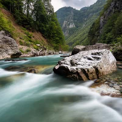 Down in Tara Valley, Montenegro