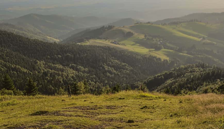 Fliegerwiese, Schauinsland
