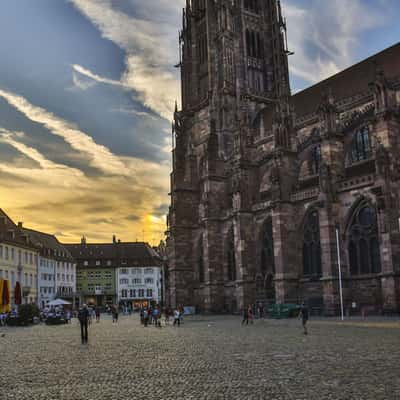 Freiburger Münster / Freiburg Minster, Germany