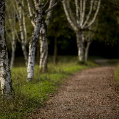 Arboretum Liliental, Ihringen, Germany