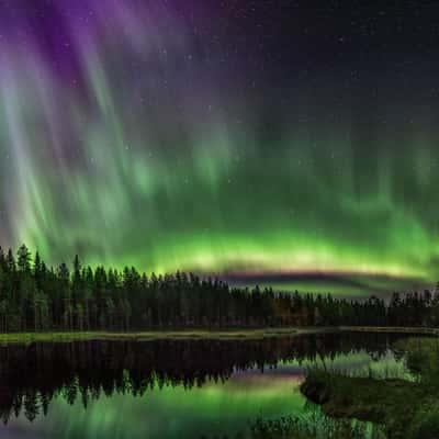 Lonely pond, Finland