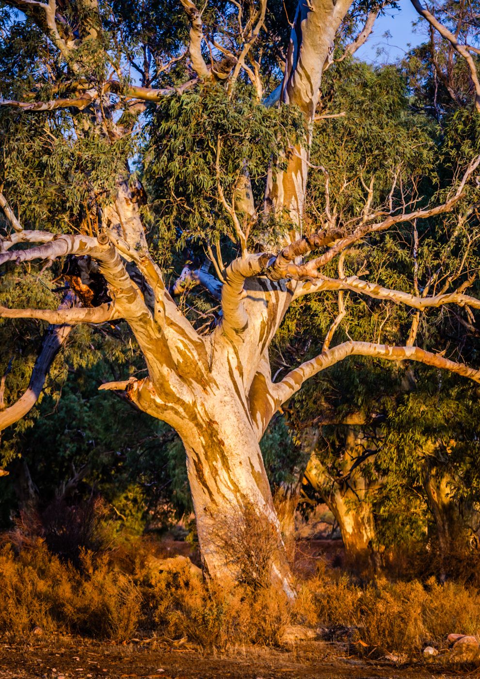 Moralana Creek, Australia