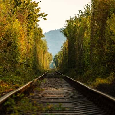 Nature tunnel, Romania