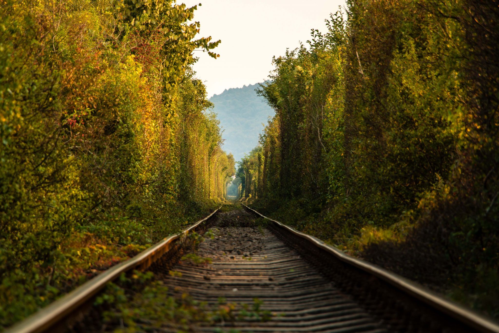 Nature tunnel, Romania