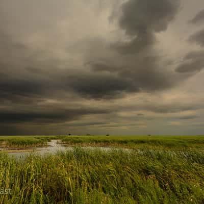 Oak Hammock Marsh, Canada