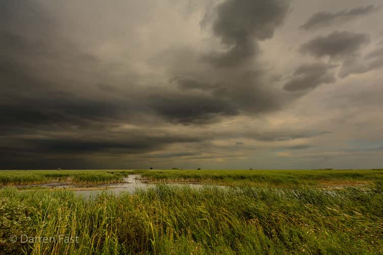 Oak Hammock Marsh