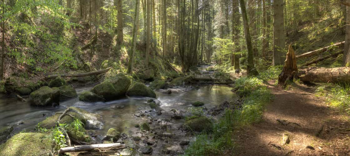 Otterbachtal near Regensburg