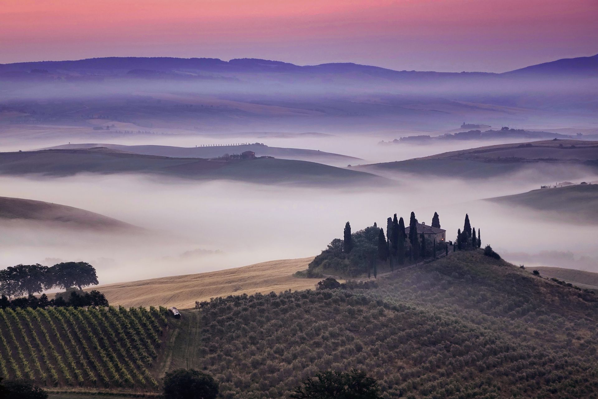 Podere Belvedere in the Val D'orcia Tuscany, Italy