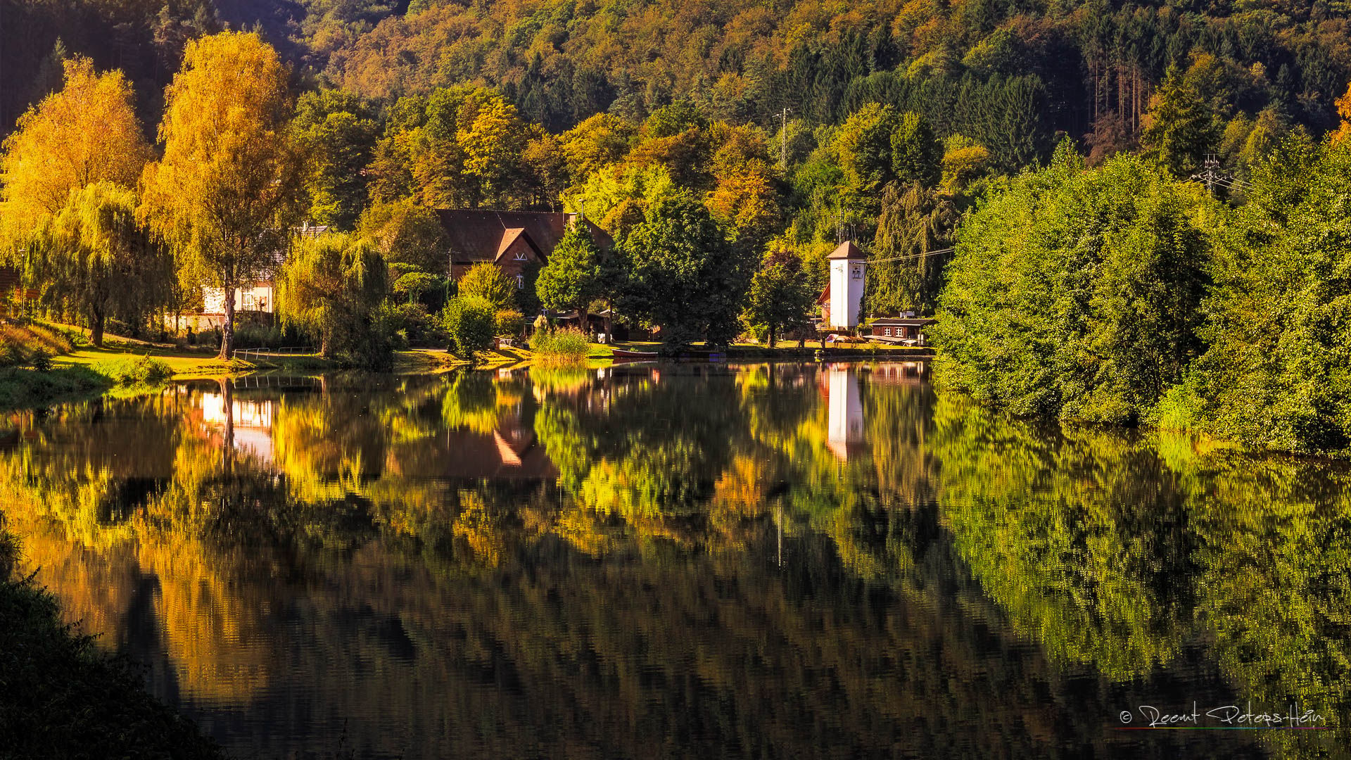 Reflections on Königsweiher, Germany
