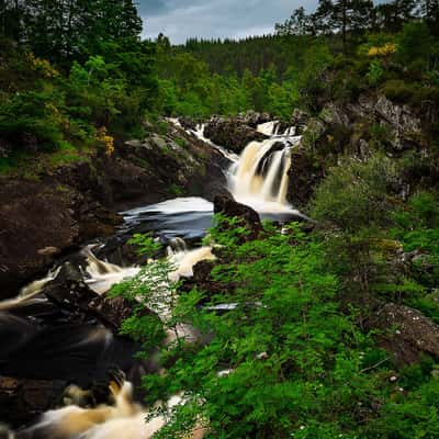 Rogie Falls, United Kingdom