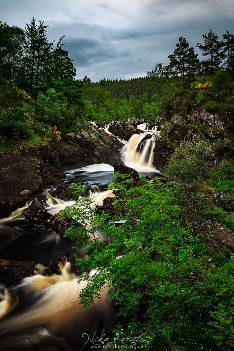 Rogie Falls, United Kingdom