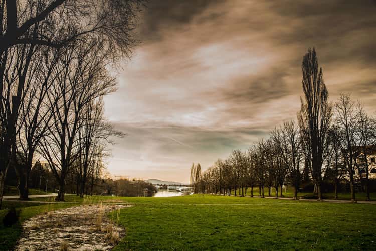 Seepark, Freiburg