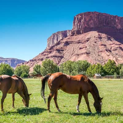 Sorrel River Ranch, USA