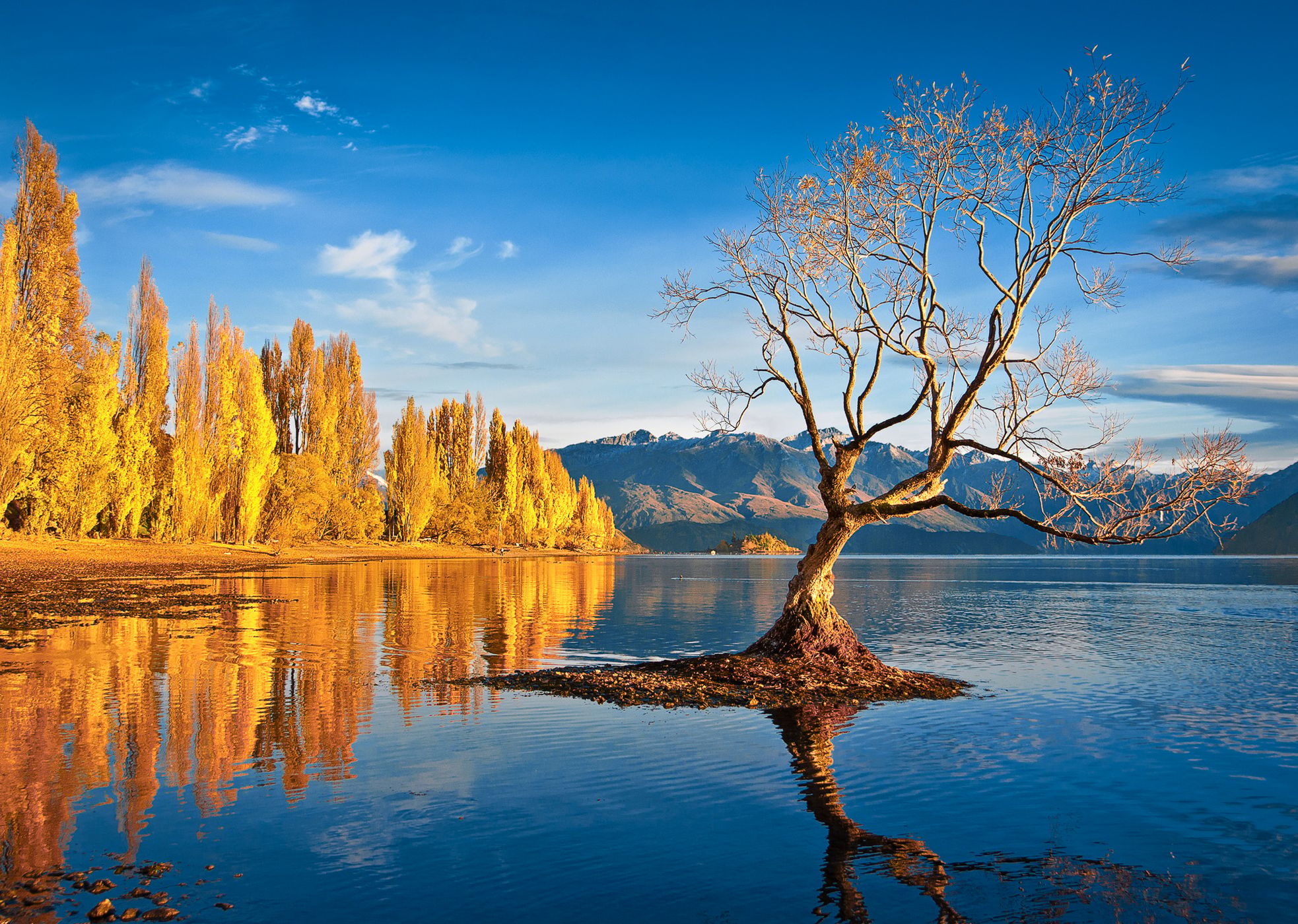 Lake Wanaka - The lonely Tree, New Zealand