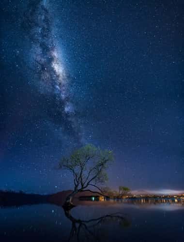 Lake Wanaka - The lonely Tree