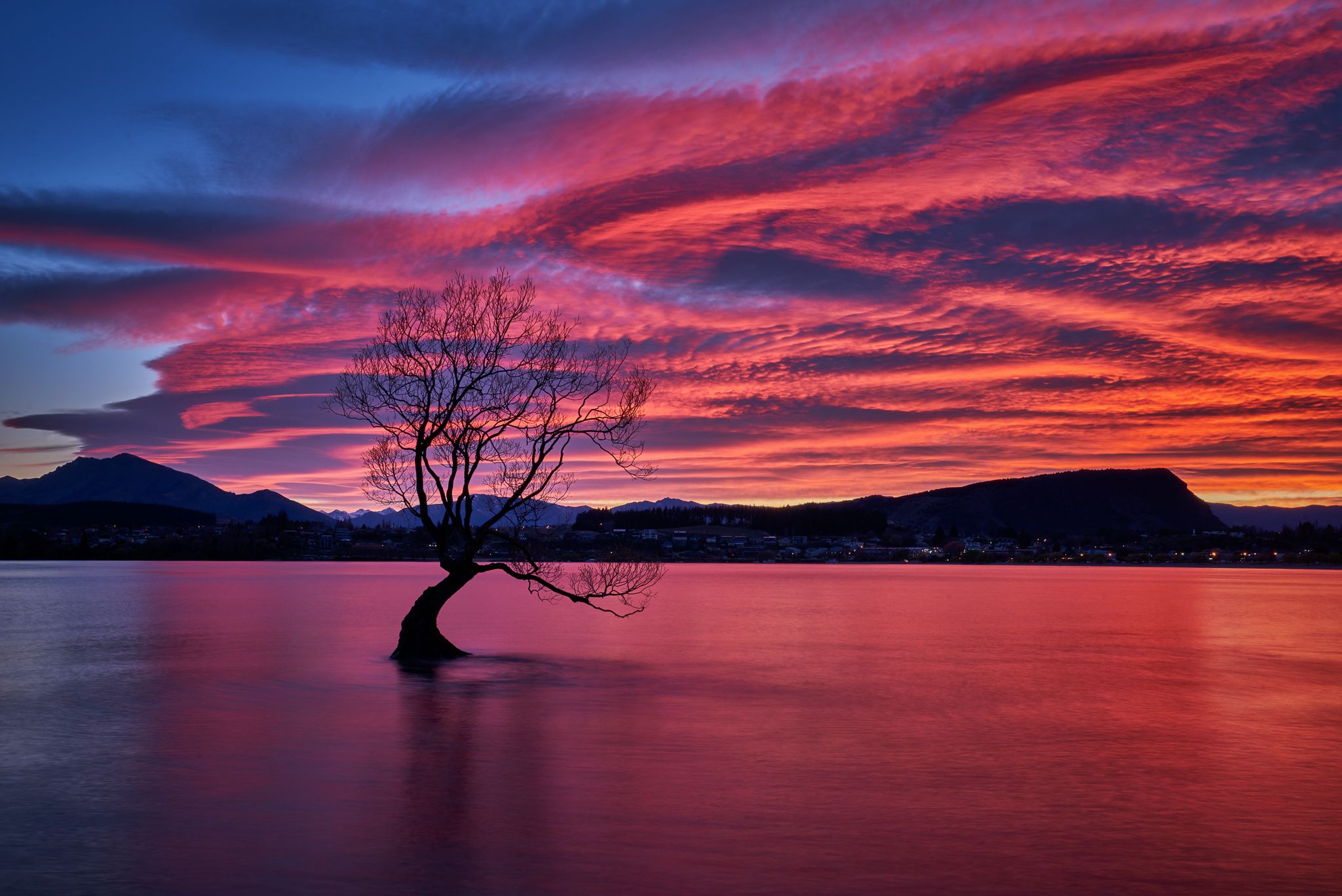 Lake Wanaka - The lonely Tree, New Zealand