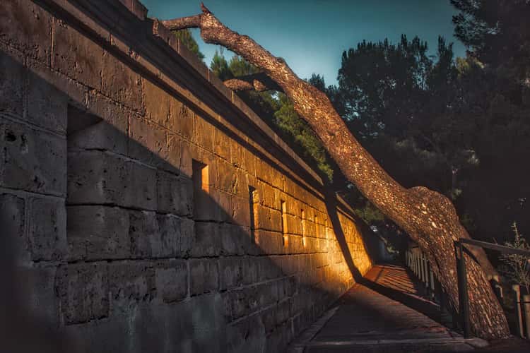 Torre den Pau