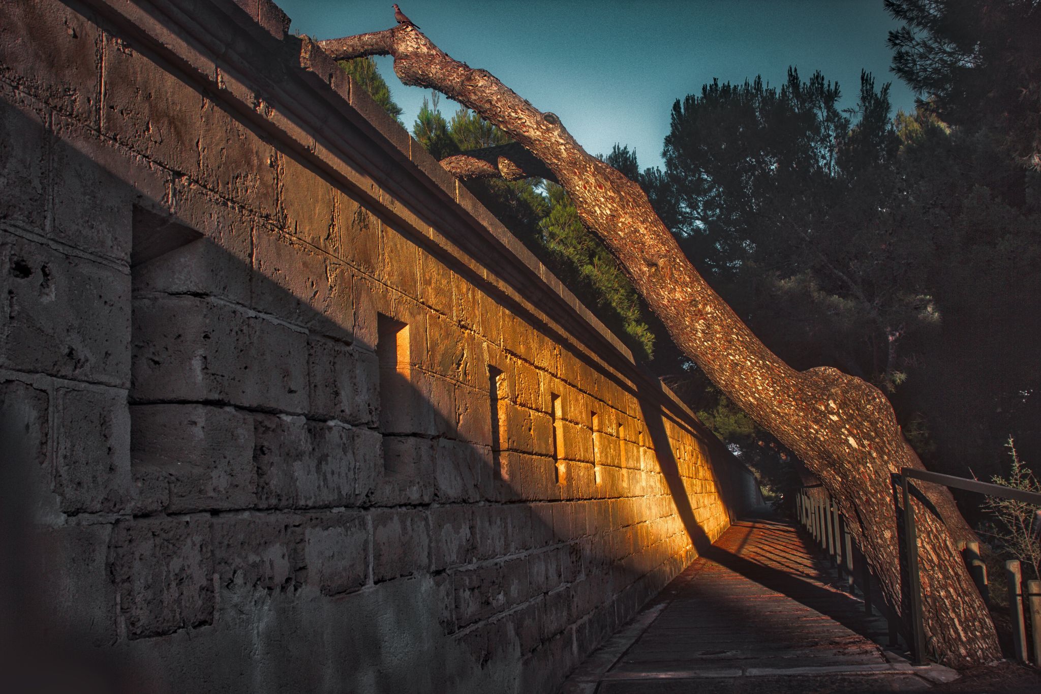 Torre den Pau, Spain